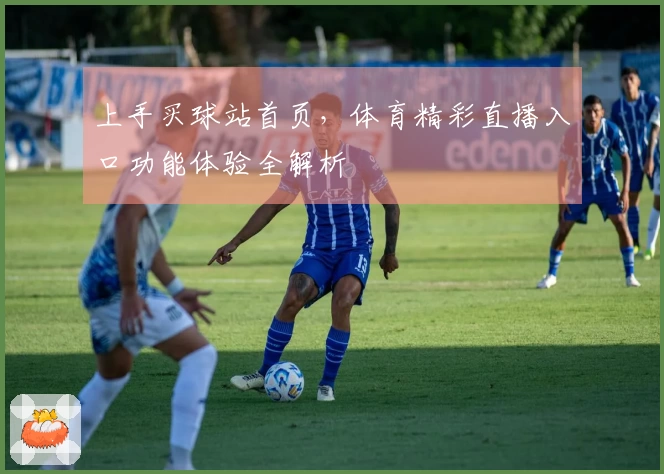 上手买球站首页，体育精彩直播入口功能体验全解析