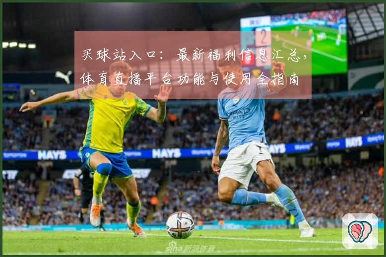 买球站入口：最新福利信息汇总，体育直播平台功能与使用全指南