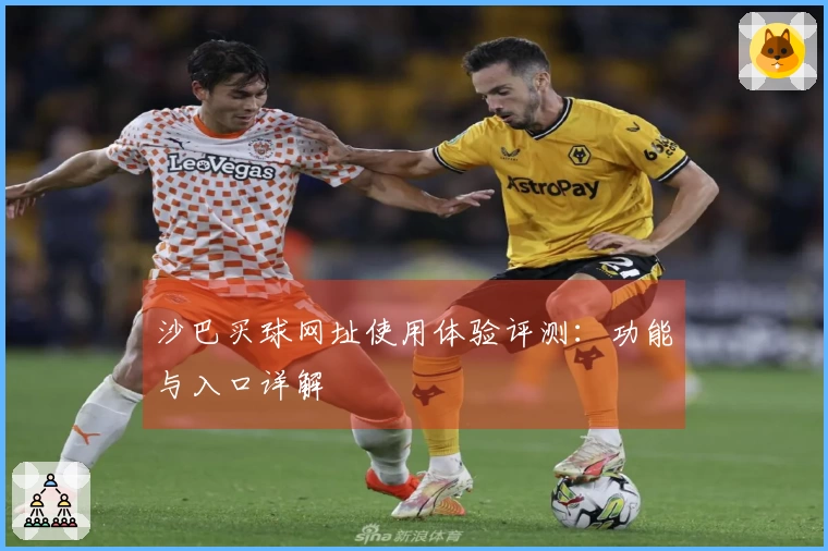 沙巴买球网址使用体验评测：功能与入口详解