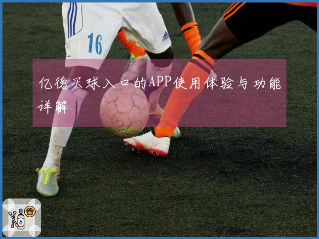 亿德买球入口的APP使用体验与功能详解